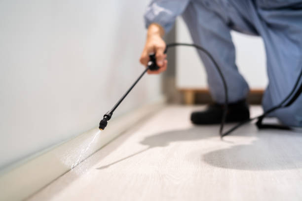 Licensed Pest Control service in St. George, KS - Show Me Pest Control