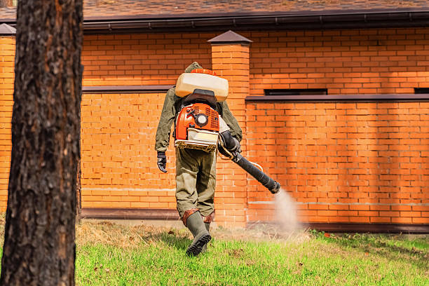Bed Bug Clearance Verification and Documentation in St. George